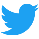 Twitter bird icon